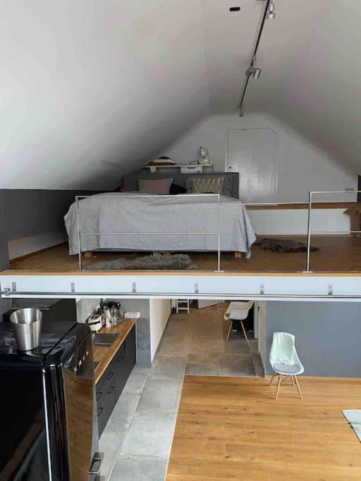 Wunderschoene Loft-Stadtwohnung فورتسبورغ المظهر الخارجي الصورة